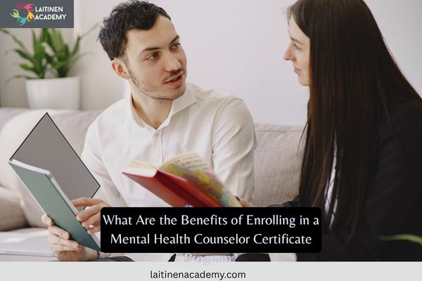 Mental health counselor certificate program consultation session